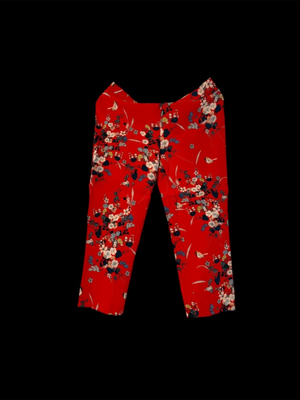 4th of July READY - Capri Pants - LIKE NEW!